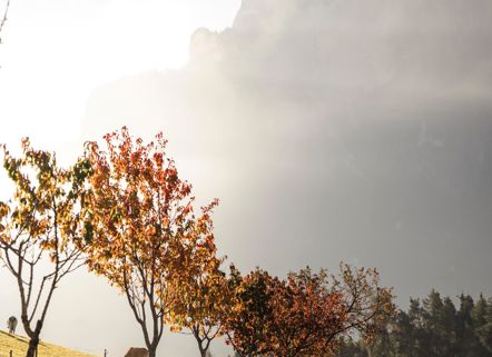 017-wandern-seis-laranz-roschan-fill-20251017