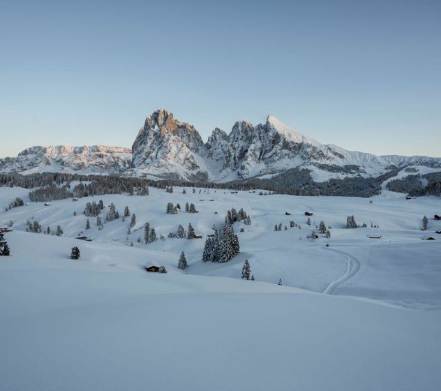 natuerlichkeit-regionalitaet-jpg